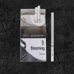 Сигареты Блюминг Сильвер (Blooming Silver)