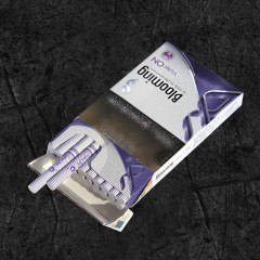 Сигареты Блюминг Виолет Он (Blooming Violet ON)