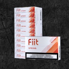 Stick Fiit Spring for Lil Solid (стики Фит Спринг для Лил Солид и Айкос)
