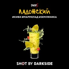 Табак для кальяна Darkside Shot Ладожский Вайб (Киви, Мармелад, Земляника) 30 гр