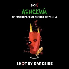 Табак для кальяна Darkside Shot Ленский Трип  (Лемонграсс, Клюква, Бузина) 30 гр